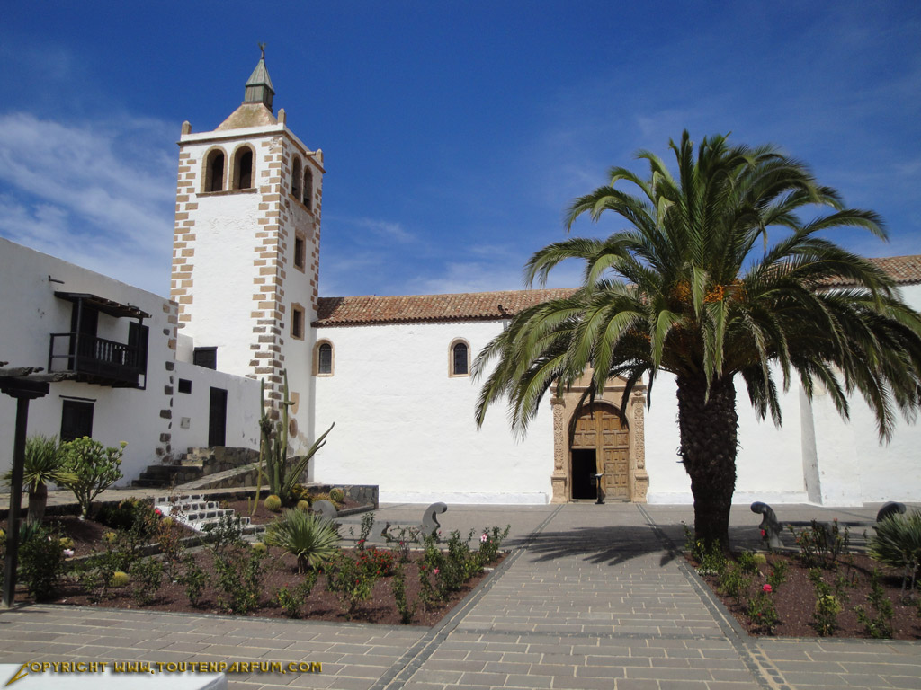 Hotels Betancurias